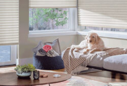 An Image Representing The Roller Shutters For Pets Concept.