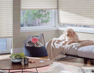 An Image Representing The Roller Shutters For Pets Concept.