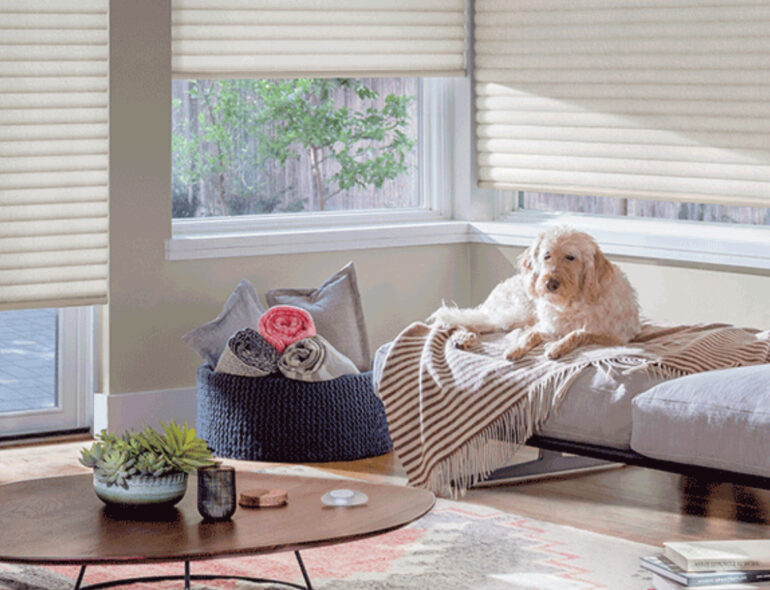 An Image Representing The Roller Shutters For Pets Concept.